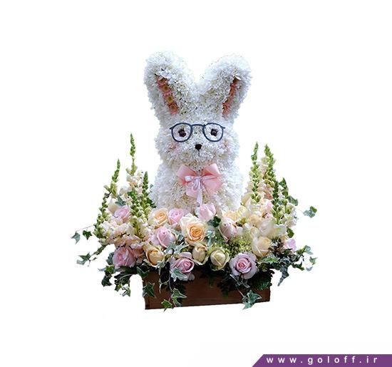 خرید گل آنلاین - عروسک گل آقا خرگوشه - Flower Toy | گل آف